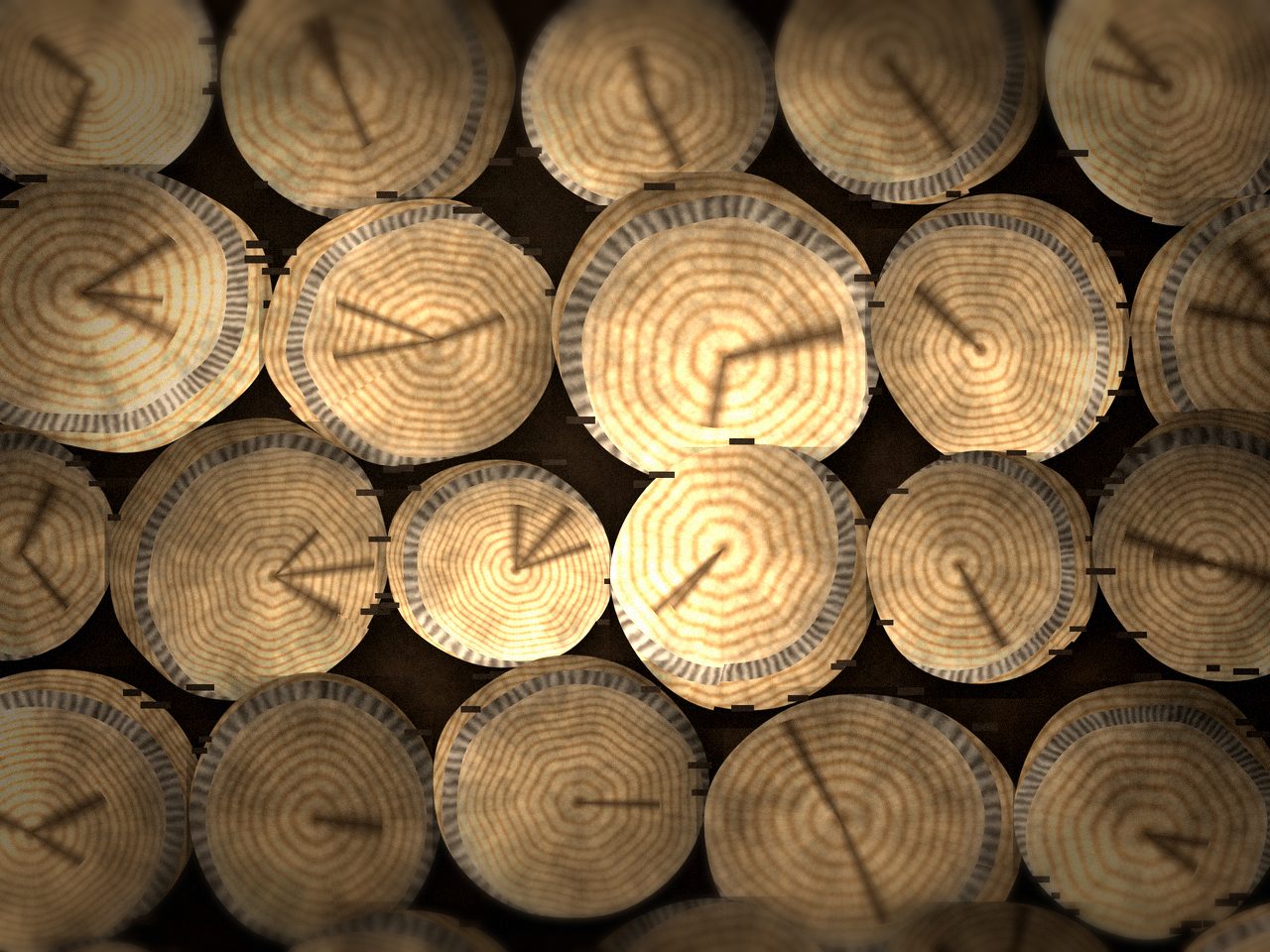 Кругляк берёзовый для распила — фото партии, доставка в Старом Осколе